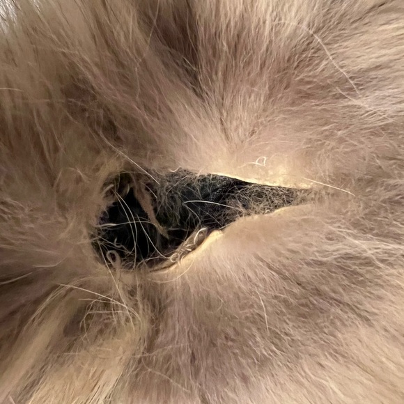 Luxurious Fur Coat - Picture 6 of 6